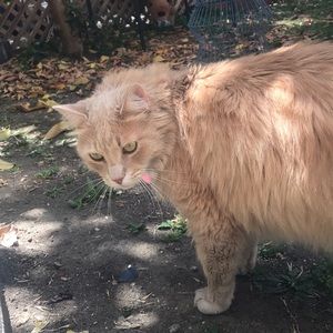 Meet your Posher, Paloma